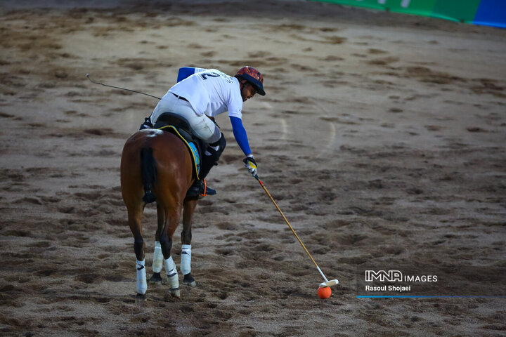 لیگ ملی چوگان جام زاینده