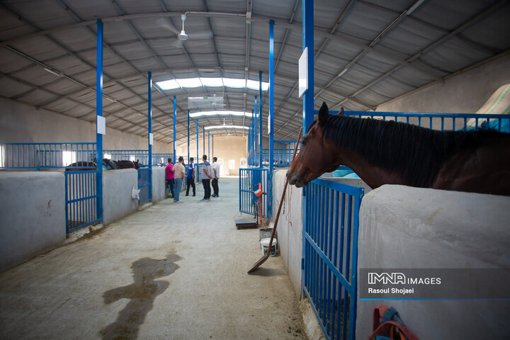 لیگ ملی چوگان جام زاینده