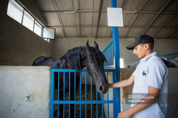 لیگ ملی چوگان جام زاینده