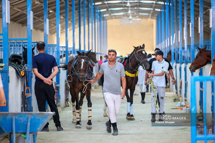 لیگ ملی چوگان جام زاینده