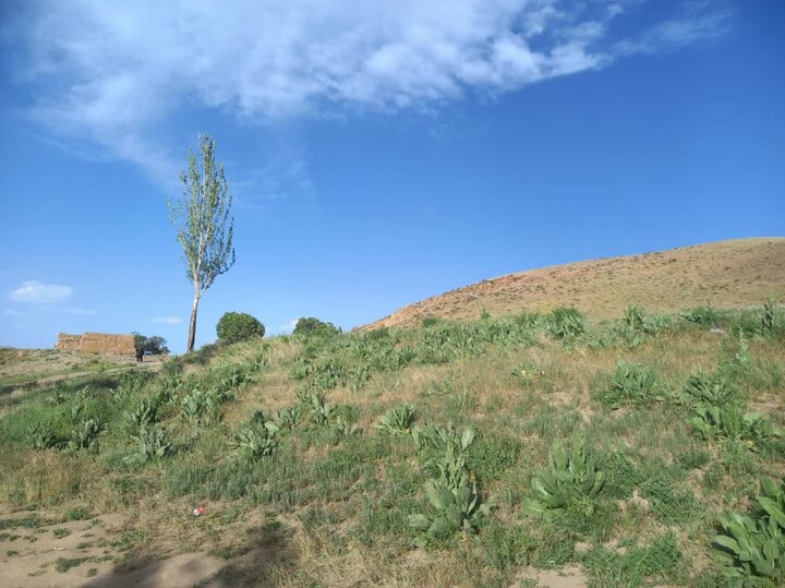 زیر پل نوغان