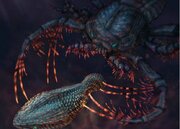 درد دندانتان تقصیر یک ماهی زره‌پوش ۵۰۰ میلیون ساله است