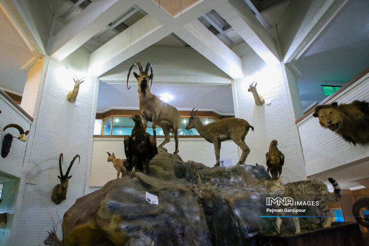 نشست شورای حفظ حقوق بیت المال مرکز استان اصفهان