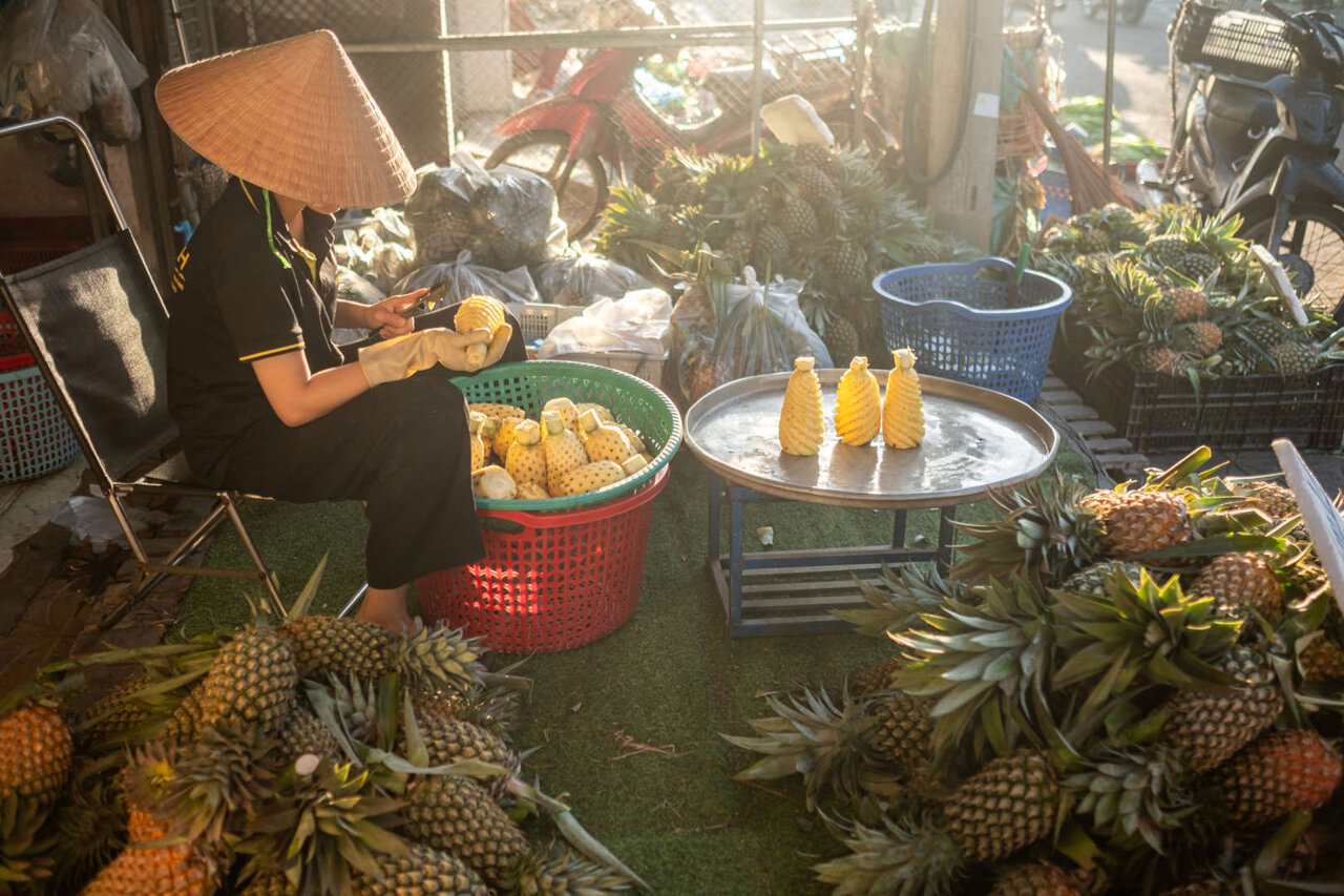 محبوبترین میوهها و کشورهای پیشرو در تولید آنها