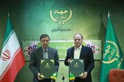 امضای تفاهم‌نامه همکاری برای افزایش تولید برنج و محصولات دامی