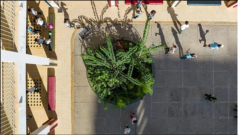 بهبود ظاهر شهرها با طب سوزنی