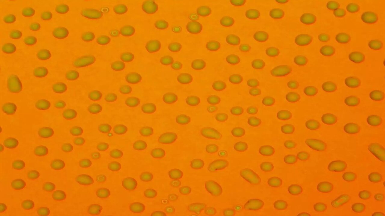 کشف ماده معجزه‌آسا برای برداشت فوری آب آشامیدنی از هوا