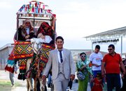 قربانی، کشتی، کاروان؛ همه چیز درباره عروسی ترکمن‌ها