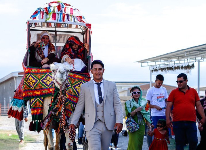 قربانی، کشتی، کاروان؛ همه چیز درباره عروسی ترکمن‌ها