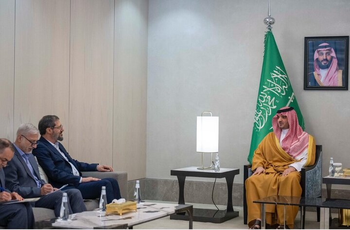 دیدار رئیس سازمان حج با وزیر کشور عربستان