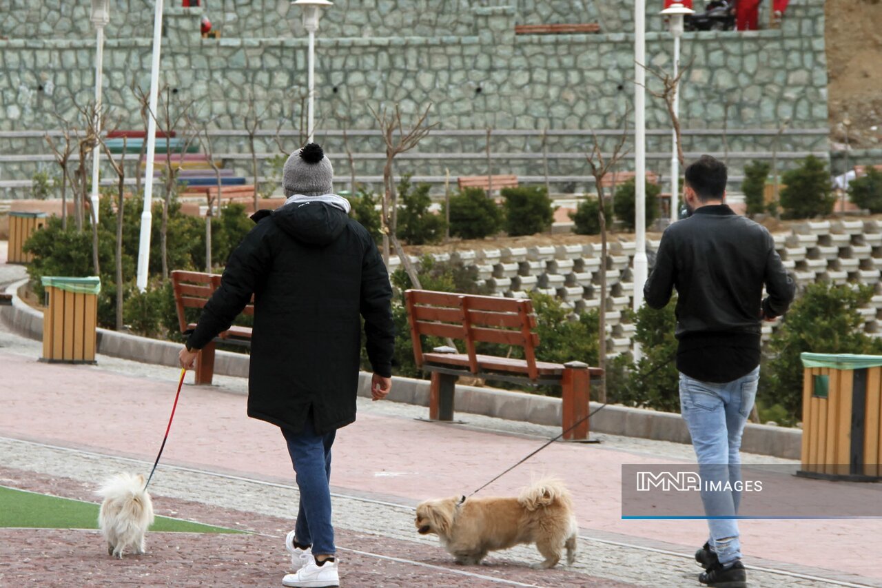 سایه رعب و وحشت از سگگردانی بر جان جامعه