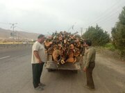 با متجاوزان به اراضی ملی برخورد قاطع می‌شود