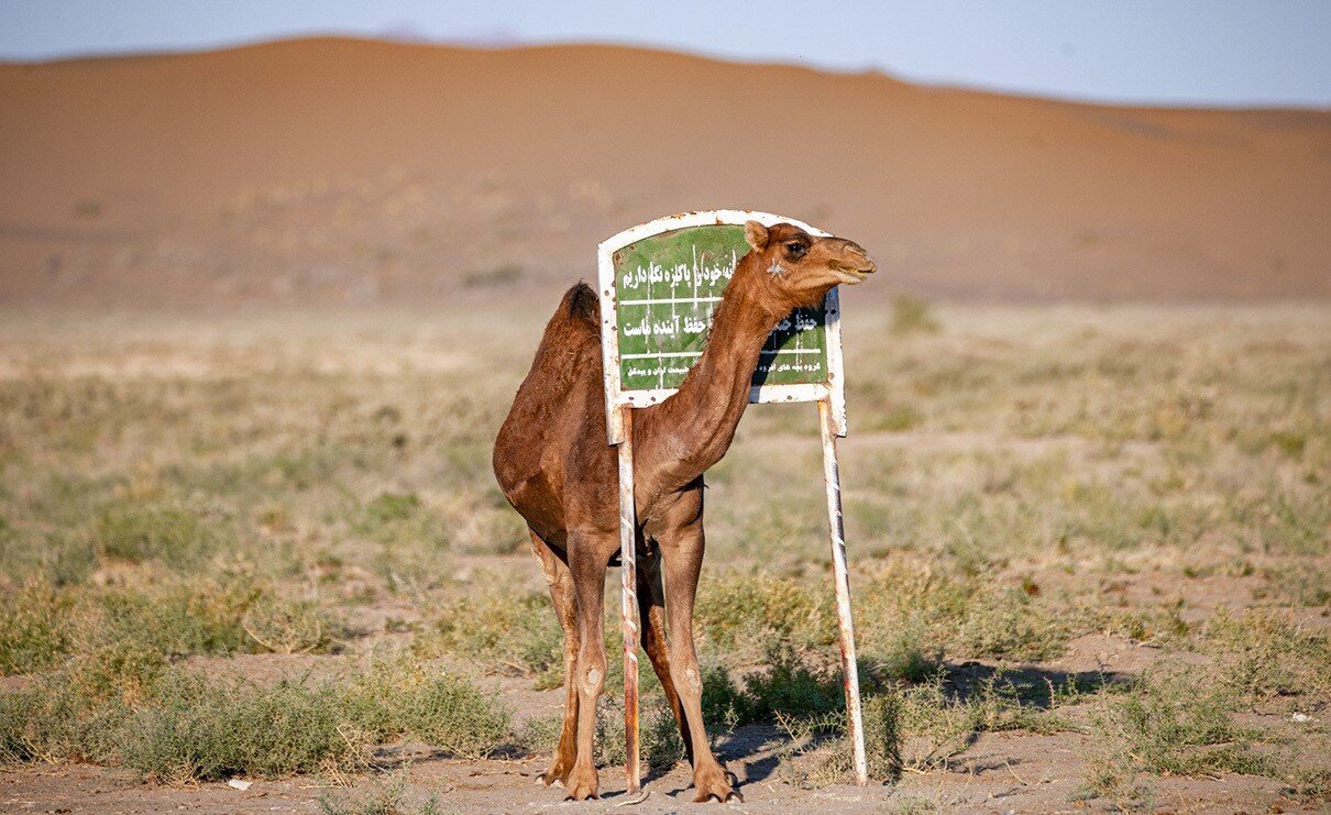 مرنجاب، طلای آرام کویر ایران
