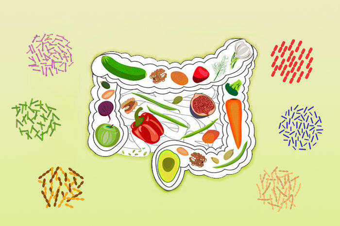 میکروبیوم روده و عملکرد ورزشی