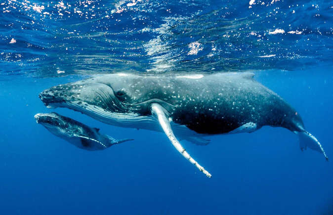 کم بازدیدترین کشورهای جهان