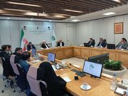 بنیاد مستضعفان رقیب دولت نیست