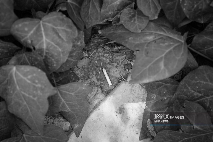 روز جهانی بدون دخانیات