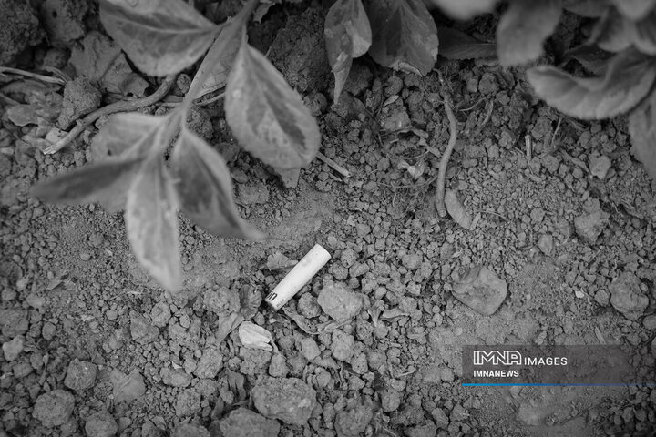 روز جهانی بدون دخانیات