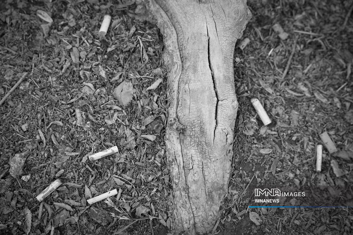 روز جهانی بدون دخانیات