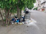 بحران ۲۷ ساله زباله در انجلیسی/ زخمی چرکین بر دل جنگل‌های هیرکانی