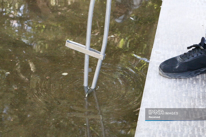 پویش جمع‌آوری ته‌سیگار از خیابان چهارباغ عباسی