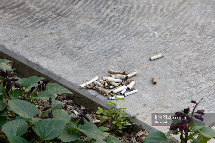 پویش جمع‌آوری ته‌سیگار از خیابان چهارباغ عباسی