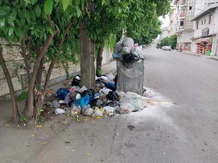 بحران ۲۷ ساله زباله در انجلیسی/ زخمی چرکین بر دل جنگل‌های هیرکانی