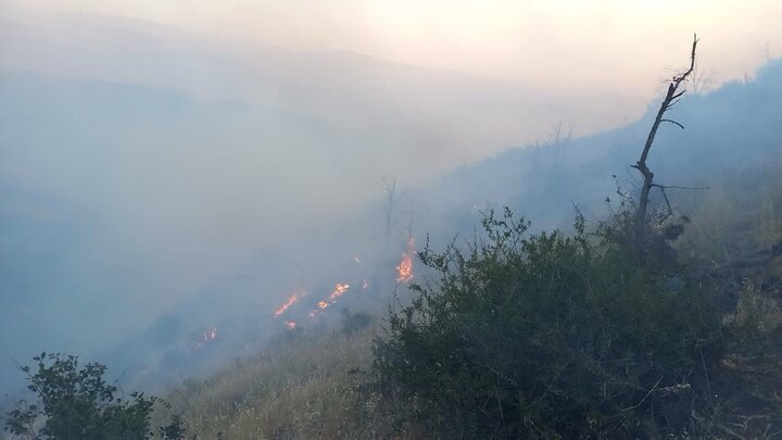آتش سوزی در پارک ملی گلستان/ بی‌احتیاطی مسافران عامل حریق شناخته شد