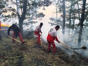 مهار آتش‌سوزی در جنگل گلستان توسط نیروهای امدادی و محلی