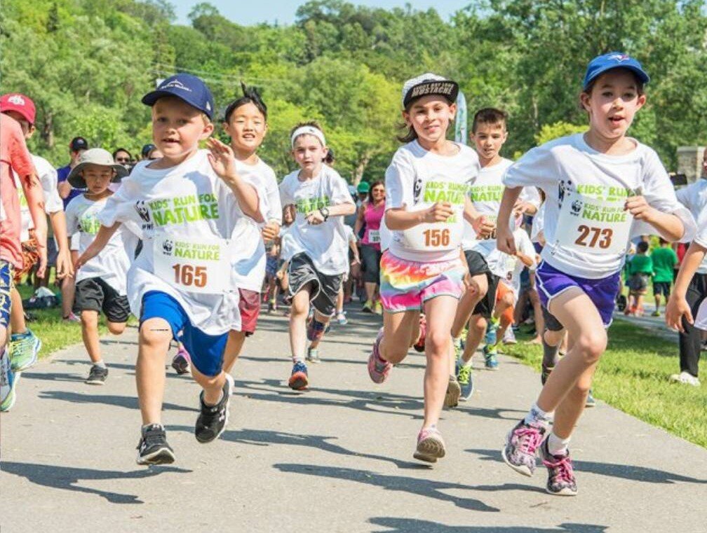 روز جهانی دویدن ۲۰۲۵؛ فرصتی برای تحرک و سلامت جسم و ذهن