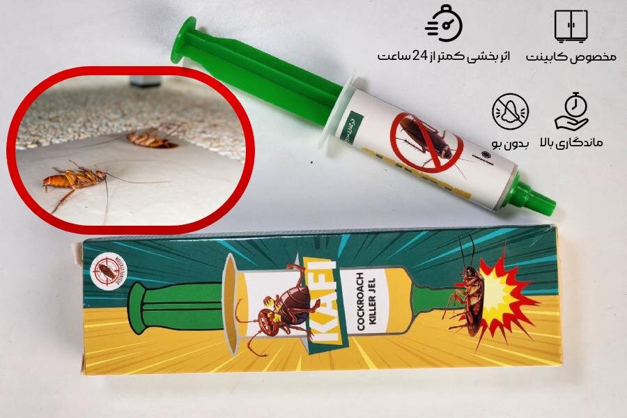 خمیر سوسک کش کافی Kafi : بهترین مارک خمیر سوسک کش