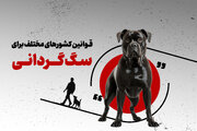 قوانین کشورهای مختلف برای سگ‌گردانی