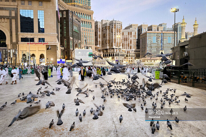 طواف خانه خدا در ایام حج تمتع