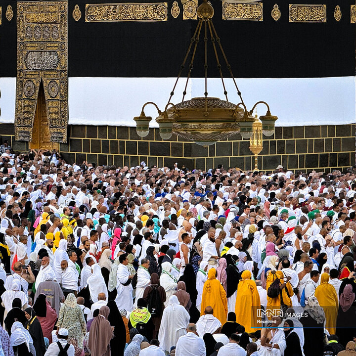 پیام تبریک وزیر فرهنگ در پی موفقیت سازمان حج و زیارت در موسم حج سال ۱۴۰۴