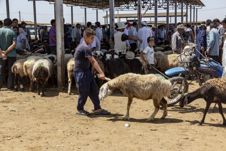 پیش‌بینی کمک ۱۰۰ میلیاردی خیران خراسان شمالی در عید قربان