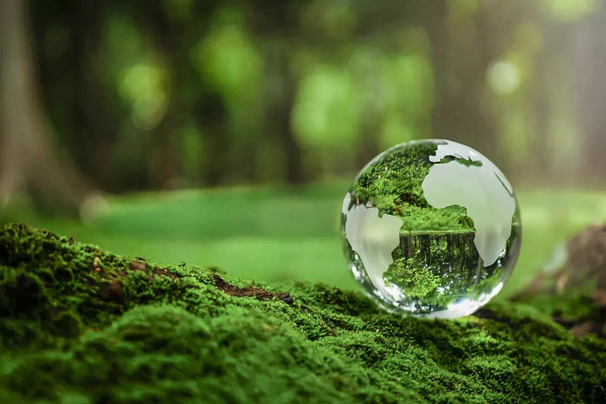 تصمیم امیدوارکننده توقف توسعه در فلات مرکزی/ کاشت موفق مرجانهای دریایی در جزایر خلیج فارس