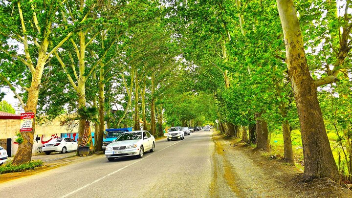 وضعیت شهرستان ساوجبلاغ در حوزه ساخت‌وساز نامناسب است