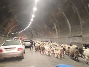 محور چالوس و آزادراه تهران_شمال مسدود می‌شود