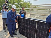 آغاز نصب نیروگاه‌های خورشیدی در مجموعه نهاد ریاست‌جمهوری +فیلم