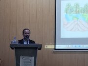 راه‌اندازی پویش‌های محلی برای پاک‌سازی کوهستان‌ها اولویت فدراسیون کوهنوردی است