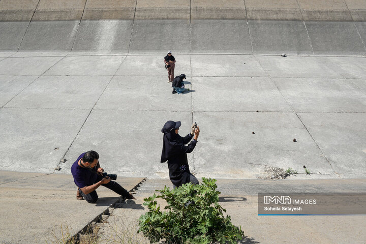 رهاسازی حق‌آبه تالاب بختگان