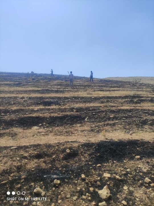 ۱۰ هکتار از اراضی سمیرم طعمه حریق شد