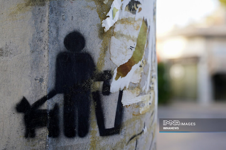 حضور بی‌مهار سگ‌ها در شهر