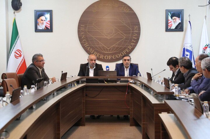 حمایت از تعاونی‌های خرد و بازارهای صادراتی جدید در دستور کار است