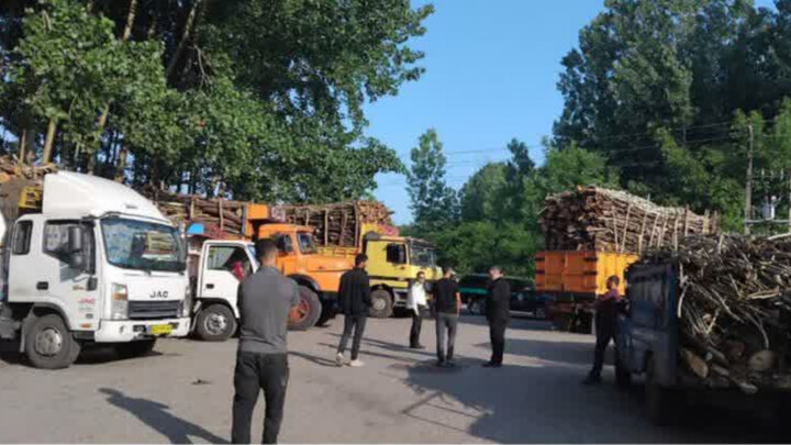 ۲۰۰ تن چوب آلات قاچاق از یک شرکت تولیدی صنایع سلولزی مازندران کشف و ضبط شد