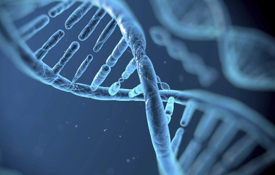 ژن‌ها، مربی باشگاه و متخصص تغذیه می‌شوند