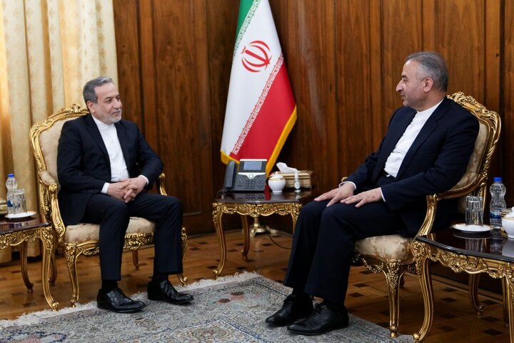 سفیر جدید ایران در مکزیک با عراقچی دیدار کرد