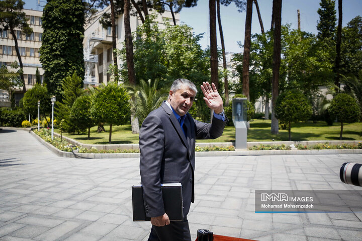 در حاشیه جلسه هیئت دولت