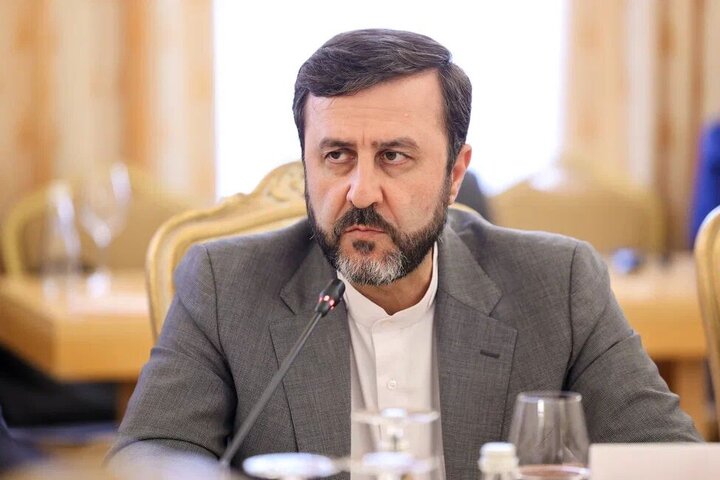 در نشست استانبول مواضع خود را درباره مکانیسم ماشه مطرح خواهیم کرد + فیلم