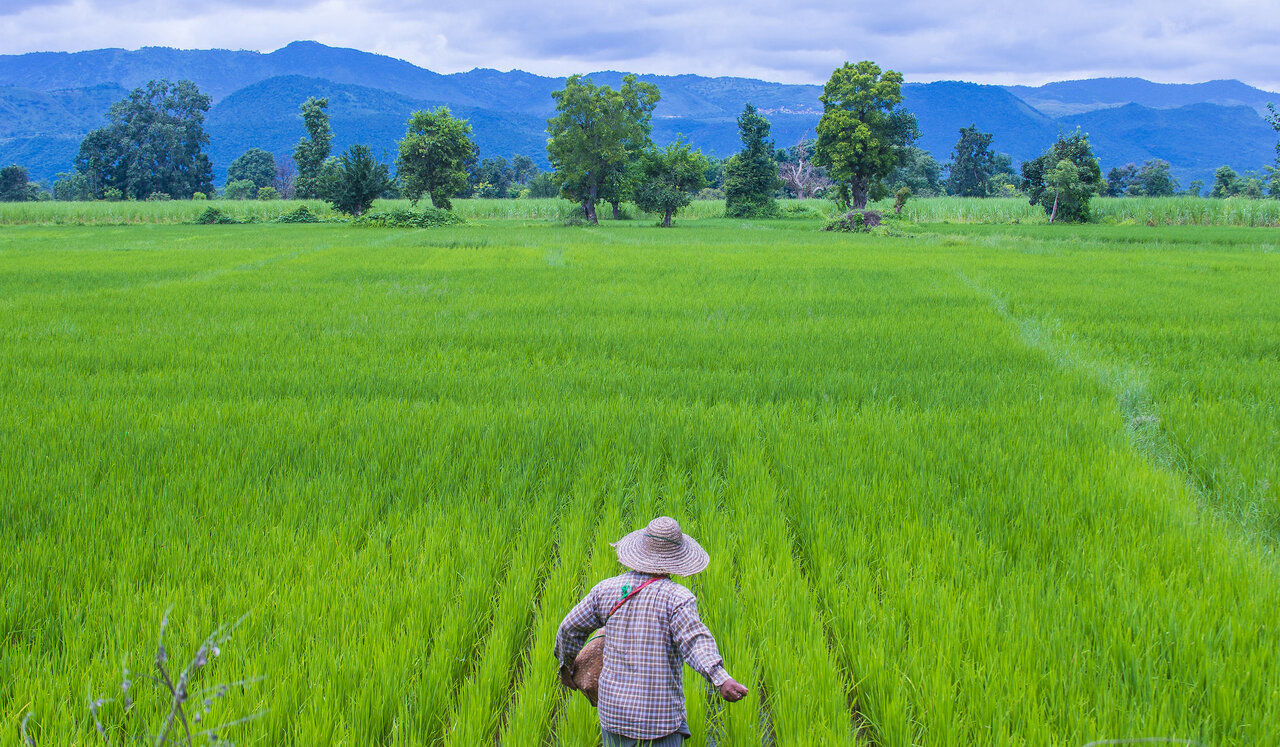 پایان دادن به گرسنگی جهانی با ابتکار کشاورزی